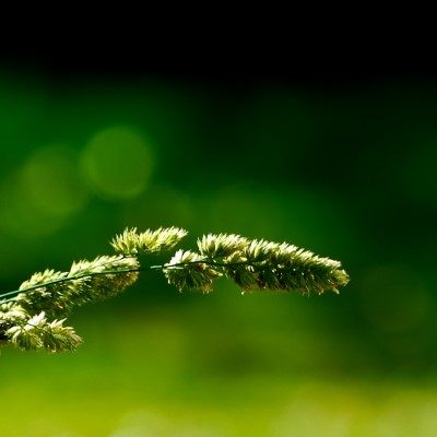 1920 x 1080 HD Wallpapers 313